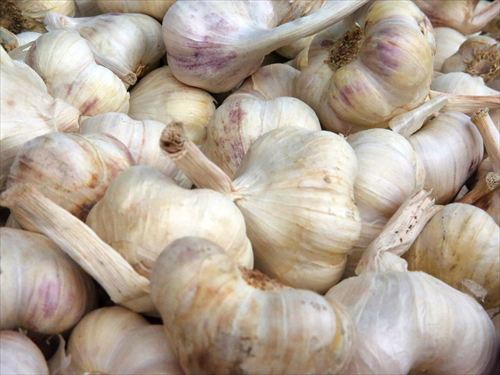 garlic-408959_960_720_R
