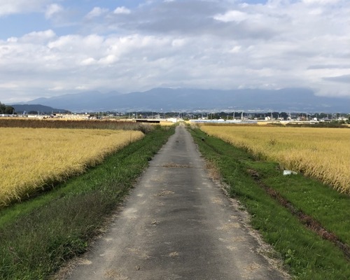 田舎