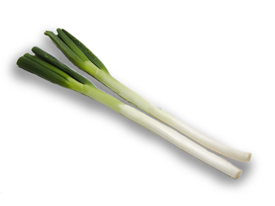 長ネギの緑色の部分っていつも捨ててるんだけど何かの料理に使えるの？