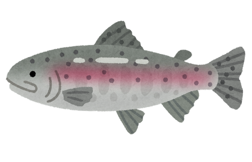 長良川を部分的に囲っただけの管理釣り堀、増水でニジマス2万匹が流出　鮎が食われまくる