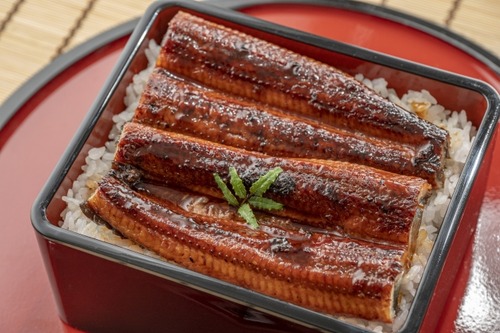 【悲報】国産うなぎさん、全く消費されずに余りまくり廃棄される