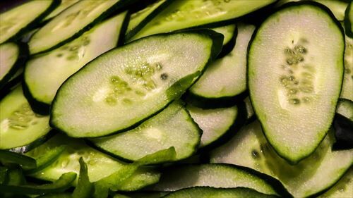 きゅうりって嫌いではないけどこの世界から消えても1ミリも困らないよな