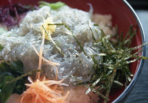 江ノ島で生しらす丼食ったんやが