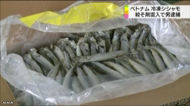 「一日１４時間働かされ腹が立った」冷凍シシャモに殺そ剤や汚物入れる