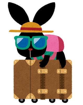 情弱ワイ、初めての海外旅行がわからないことだらけで泣いてしまう