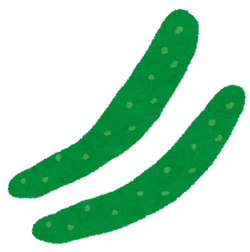 kyuuri_cucumber