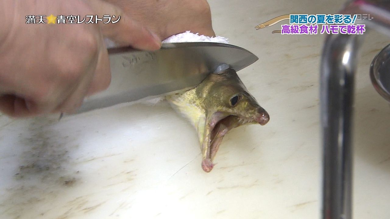 魚って絶対に痛覚があるよな お料理速報