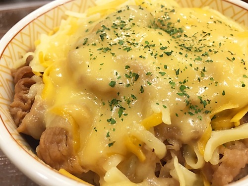 スラングのせいで「チーズ牛丼」が牛丼界の有名人みたいになってるのほんまムカつく