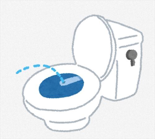 SnapCrab_NoName_2021-1-13_22-51-10_No-00_R