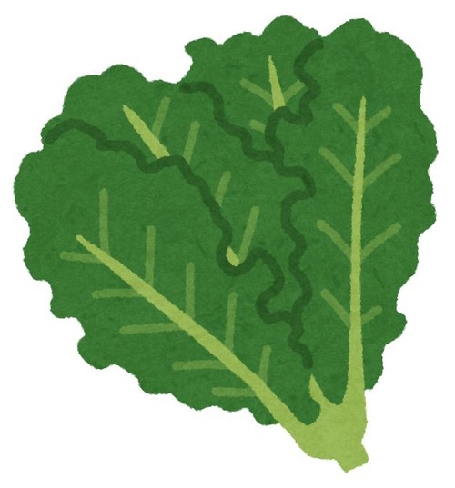 vegetable_kale