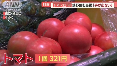 【悲報】トマトの値段、限界突破。