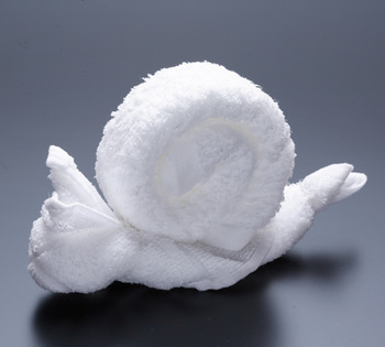 081120_oshibori