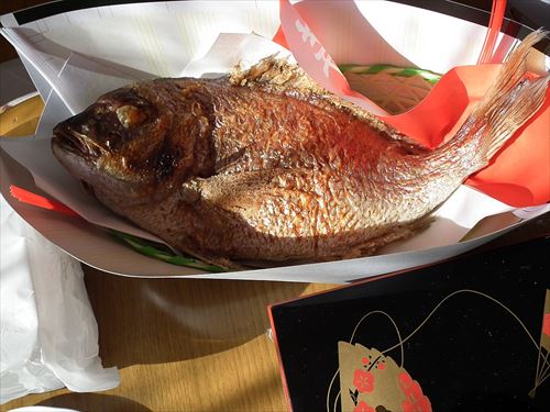 1200px-Sparidae、鯛_DSCF1202_R