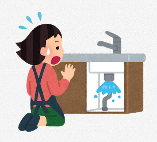 SnapCrab_NoName_2021-6-30_21-58-49_No-00