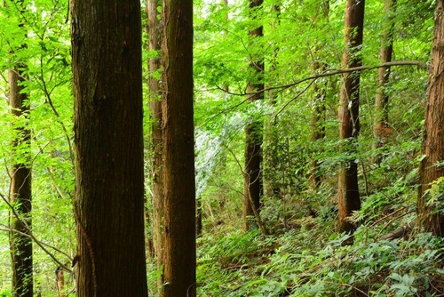 登山初心者がまず最初に買う登山グッズって何？