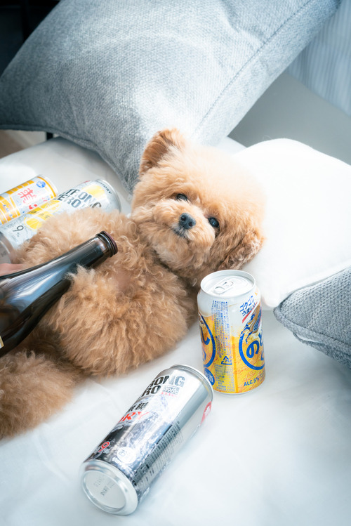 20220227-A7401851_TP_V4