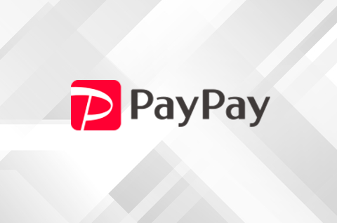 paypay-1-480x318