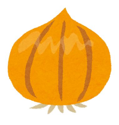 玉ねぎとか言う実は激烈にうまい食材
