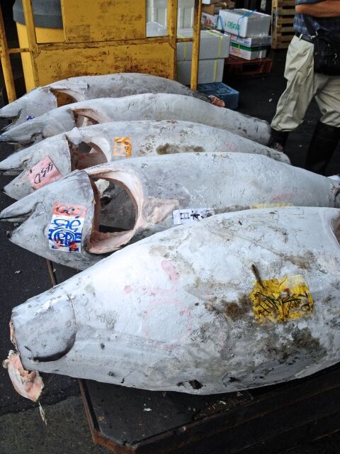 b94fb6b6e49ef600c8e8842436d5ca1a_s