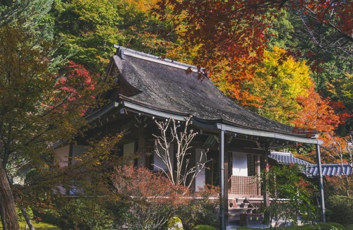 cropzubottyDSC07388219