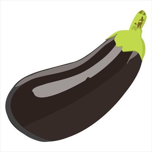 ナスとかいうあらゆる調理で激ウマを誇る野菜ｗｗｗｗｗｗｗ