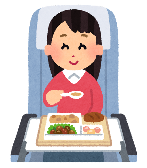 【悲報】ANA、JAL「あのさぁ…ぶっちゃけ機内食とかいらないよね？😅」→不要サービス広がる…