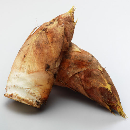 201211181540530420301