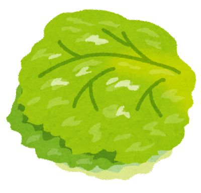 vegetable_lettuce