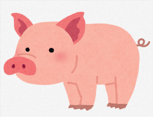 SnapCrab_NoName_2021-5-19_19-27-49_No-00