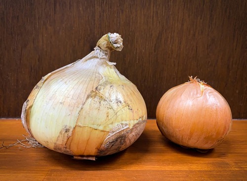 玉ねぎとかいう「嫌い」か「普通」しかないのに大体の料理に入り込む野菜