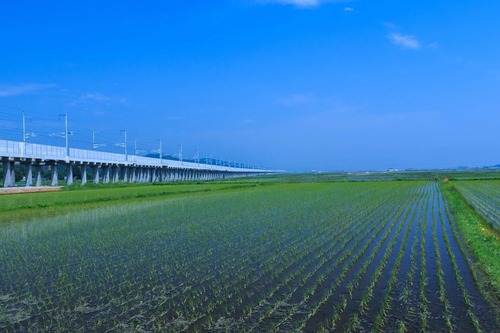 東京から田舎に引っ越したけど何も面白いことないな