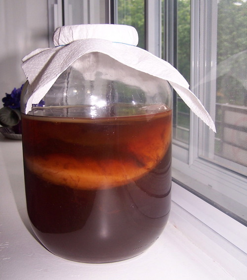 Kombucha_jar