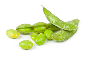 「枝豆（edamame）」がネットの海外検索で2位に、健康食として世界的注目