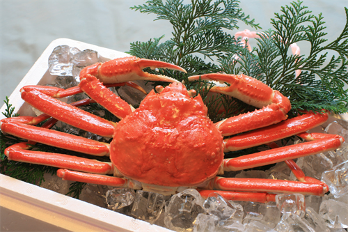 誘い文句は「めったにとれないサイズですよ」　北海道で低品質な海産物の売りつけトラブルが続出