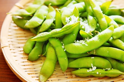 枝豆を溶かし込んだビール発売へ　将来的には海外輸出目指す