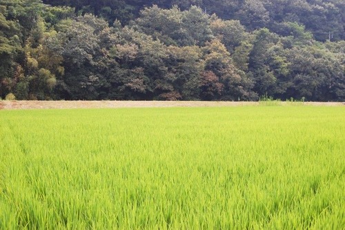 d089038d2dc70dddd880e36fd3033159-750x499