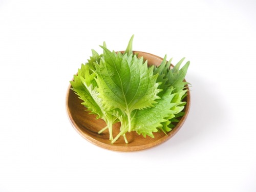 悲報 大葉を薬味だと思っている日本人 多すぎる お料理速報 悲報 大葉を薬味だと思っている日本人 多すぎる お料理速報