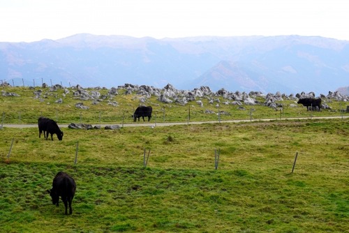 ed9414145cca7db4e5061b8aff6c4c20_s