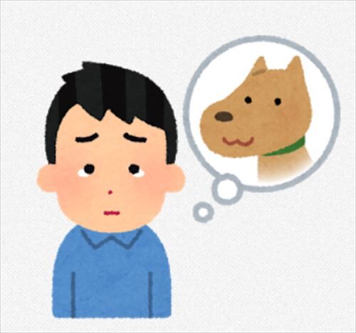 みんなってペットロスからどうやって立ち直った お料理速報