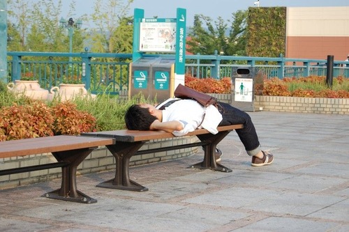 bf4b3e83ff7ec54d2fdfb268390dd96d-750x499