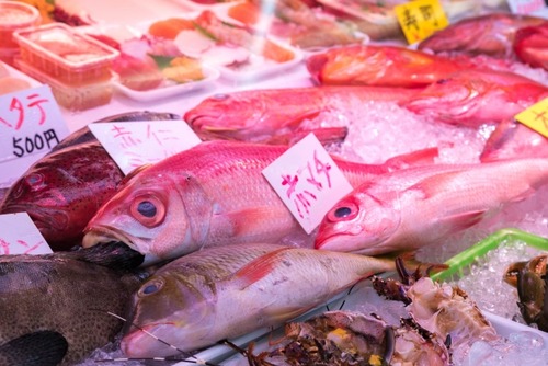 さかなクンって魚好きなくせに魚殺して食ってんじゃん