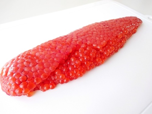 【胸糞】釣りカスさん、鮭の腹を割きイクラだけとって道路脇にポイ捨てしてしまう  [295723299]