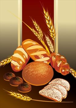 20081112154911_R
