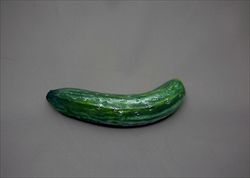 この写真のキュウリ、実はキュウリじゃないんです