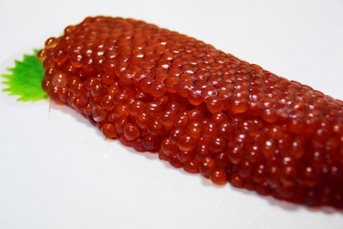 筋子とたらこ、ご飯のおかずにするならどっち？ 	