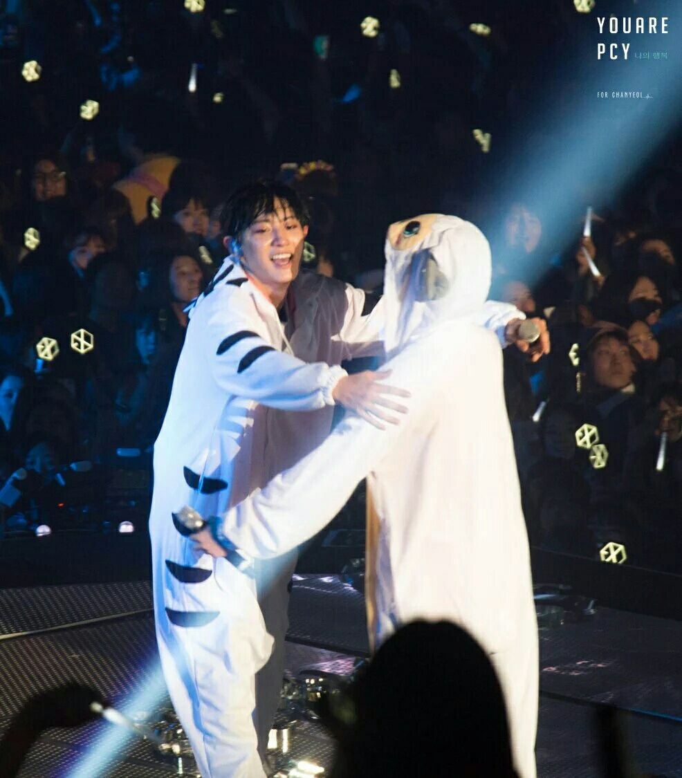 綺麗好きなので Exo まいでぃあー