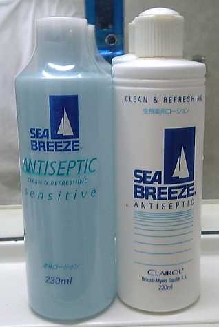 シーブリーズの歴史 麻衣をもっと