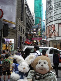 散策開始