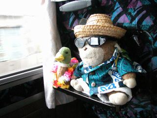 0408e635.jpg