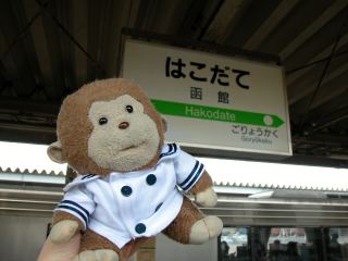 2a632f83.jpg